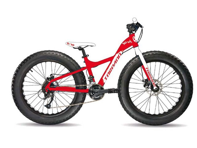 fat bike Comprar bicicleta y reseñas de la mejor bicicleta