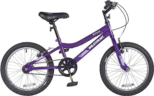 imagen 21 Comprar bicicleta y reseñas de la mejor bicicleta