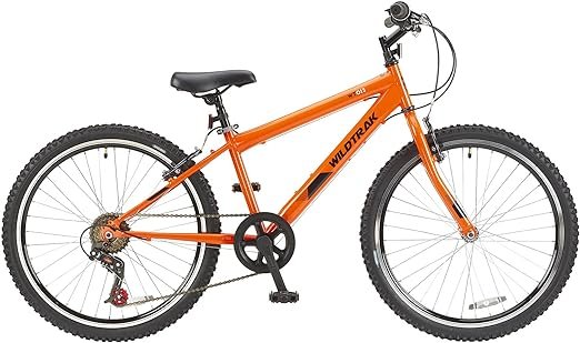 imagen 8 Comprar bicicleta y reseñas de la mejor bicicleta